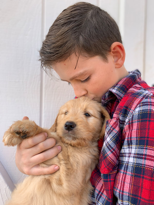A photo of a boy hugging a golden retriever puppy